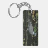 Columba palumbus schlüsselanhänger (Vorderseite links)