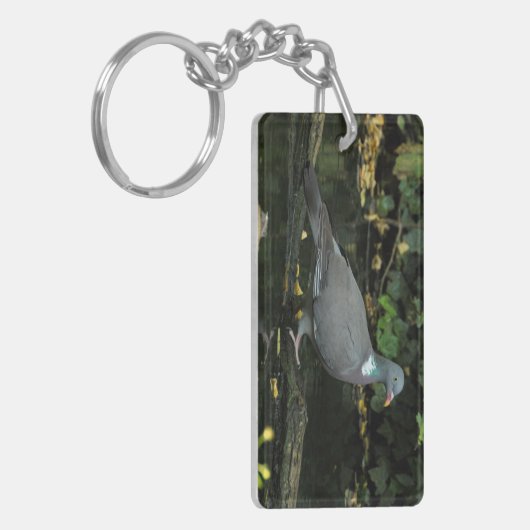 Columba palumbus schlüsselanhänger (Vorderseite links)