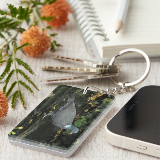 Columba palumbus schlüsselanhänger (Vorderseite rechts)