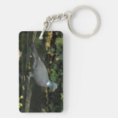 Columba palumbus schlüsselanhänger (Rückseite)