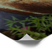 Columbia Falls Poster (Ecke)