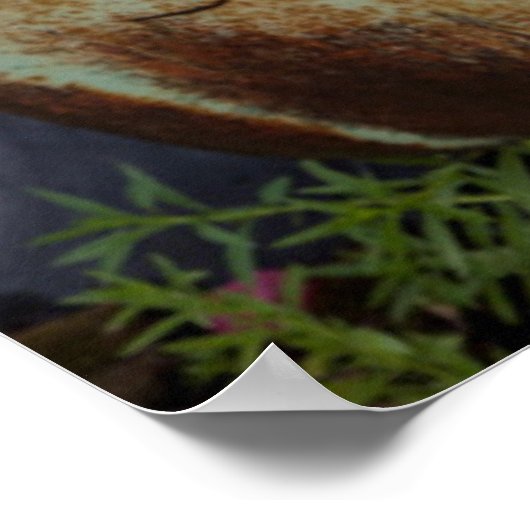 Columbia Falls Poster (Ecke)