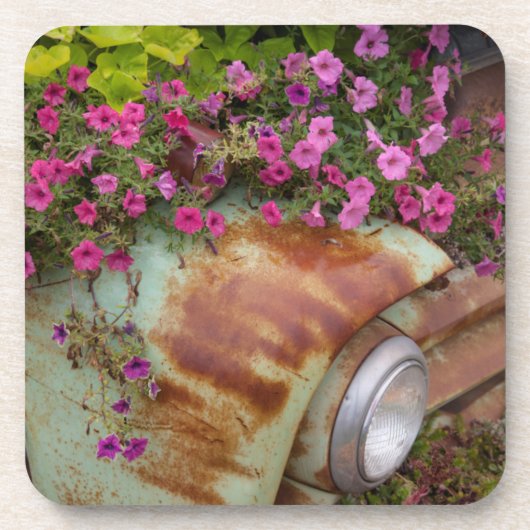 Columbia Getränkeuntersetzer (Vorderseite)