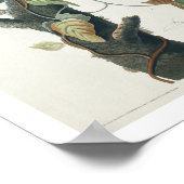 Columbia Jay von Audubon Poster (Ecke)