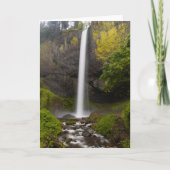 Columbia River Gorge Latourell Falls Greeting Card Dankeskarte (Vorderseite)