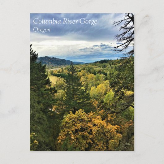 Columbia River Gorge, Oregon Postcard Postkarte (Vorderseite)