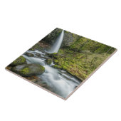 Columbia River Gorge, Ponytail Falls Fliese (Seite)