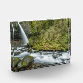Columbia River Gorge, Ponytail Falls Fotoblock (Links)
