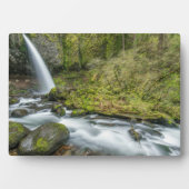 Columbia River Gorge, Ponytail Falls Fotoplatte (Vorderseite)