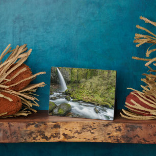 Columbia River Gorge, Ponytail Falls Fotoplatte