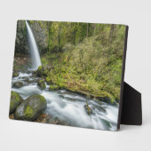 Columbia River Gorge, Ponytail Falls Fotoplatte (Seite)