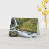 Columbia River Gorge, Ponytail Falls Karte (Gelbe Blume)