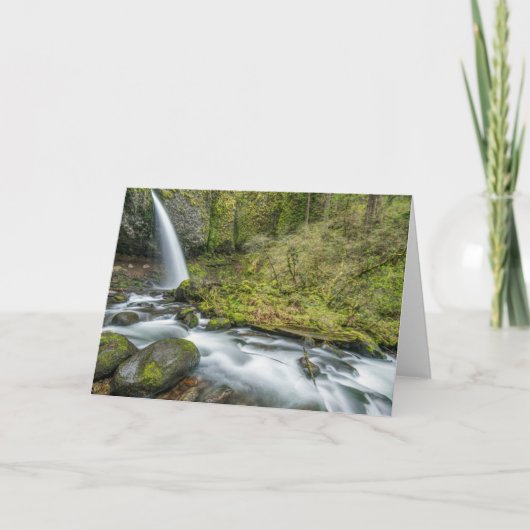 Columbia River Gorge, Ponytail Falls Karte (Vorderseite)