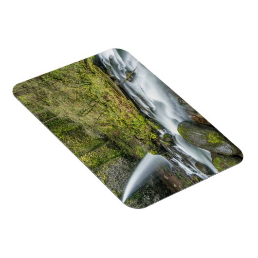 Columbia River Gorge, Ponytail Falls Magnet (Rechte Seite)