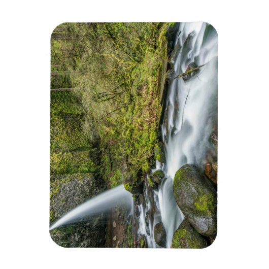 Columbia River Gorge, Ponytail Falls Magnet (Vertikal)