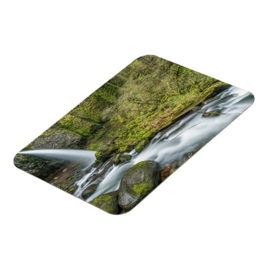 Columbia River Gorge, Ponytail Falls Magnet (Linke Seite)
