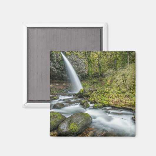 Columbia River Gorge, Ponytail Falls Magnet (Vorderseite/Rückseite)