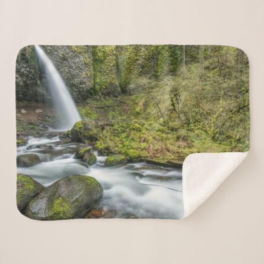Columbia River Gorge, Ponytail Falls Sherpadecke (Vorderseite (Horizontal))