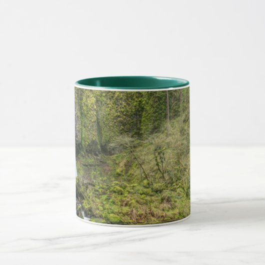 Columbia River Gorge, Ponytail Falls Tasse (Zentrum)