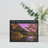 Columbia River Gorge Postcard Postkarte (Stehend Vorderseite)