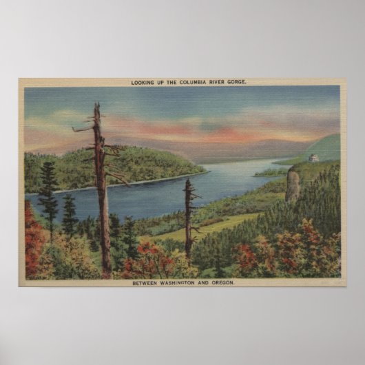 Columbia River Gorge Poster (Vorne)