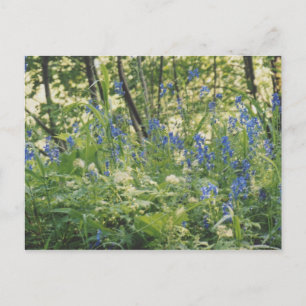 Columbia River Gorge Postkarte