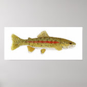 Columbia River Redband Trout Poster (Vorne)
