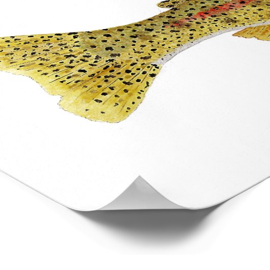 Columbia River Redband Trout Poster (Ecke)