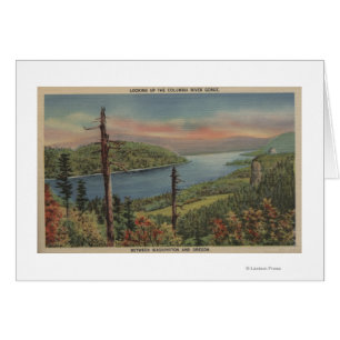 Columbia River Schlucht