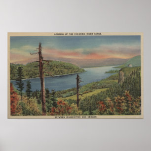 Columbia River Schlucht Poster