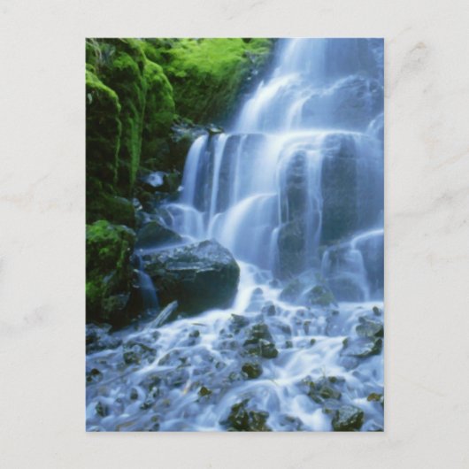 Columbia River Wasserfall-Geldstrafe-Foto Postkarte (Vorderseite)