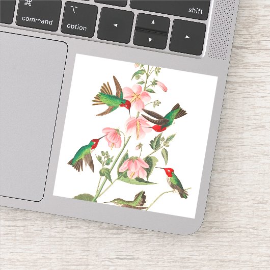 Columbian Humming von John James Audubon Aufkleber (Detail)