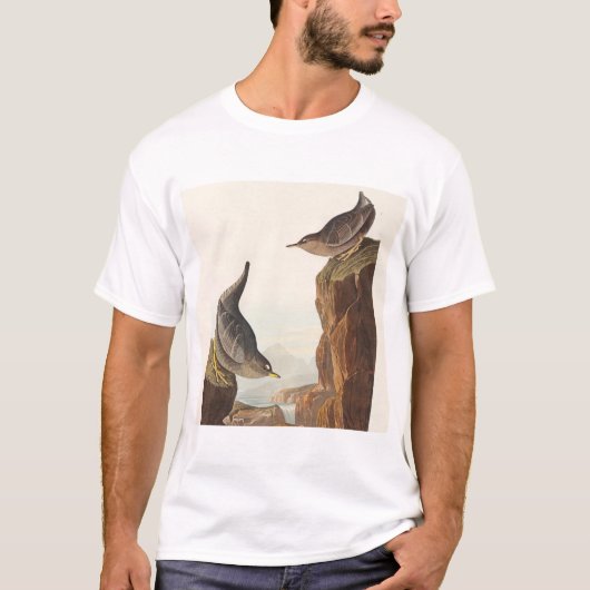 Columbian Water Ouzel and Arctic Water Ouzel T-Shirt (Vorderseite)
