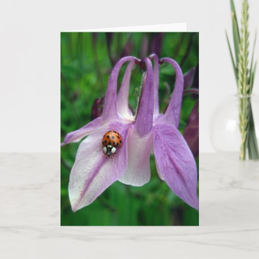 Columbine 2 Card Karte (Vorderseite)