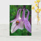 Columbine 2 Card Karte (Gelbe Blume)