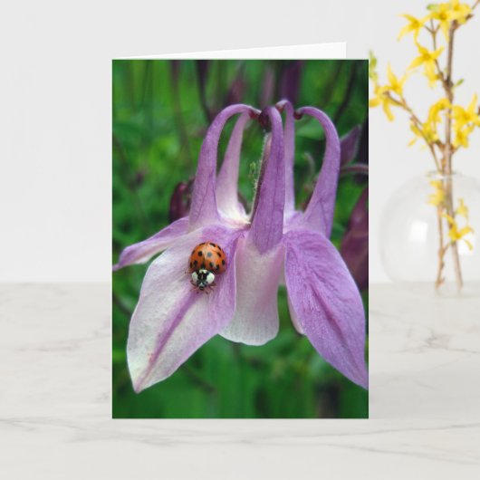 Columbine 2 Card Karte (Gelbe Blume)
