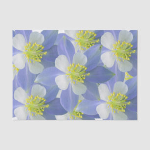 Columbine 2 seidenpapier