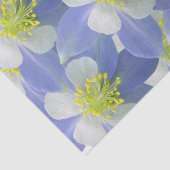 Columbine 2 seidenpapier (Ausschnitt)