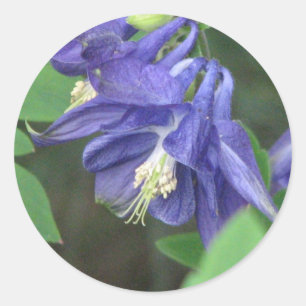 Columbine-Aufkleber Runder Aufkleber