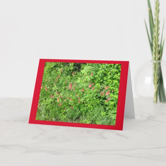 Columbine Blank Note Card Karte (Vorderseite)