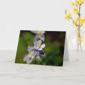 Columbine-Blume 7 Karte (Gelbe Blume)