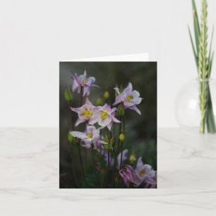 Columbine-Blumen-Anmerkungs-Karte Karte