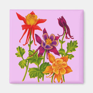 columbine Blumen Magnet