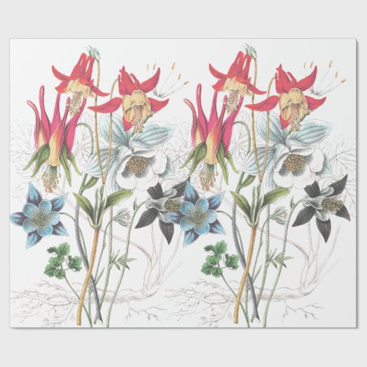 Columbine-Blumen-Verpackungs-Papier Geschenkpapier (Flach)
