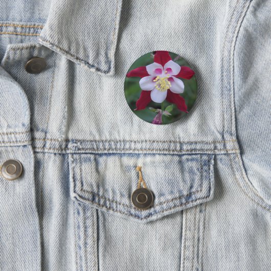Columbine Button (Beispiel)