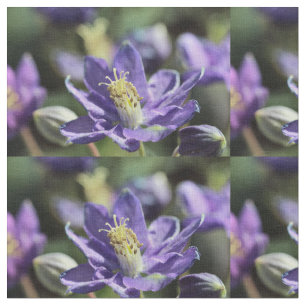 Columbine Fabric Stoff