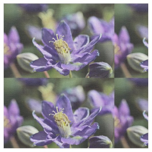Columbine Fabric Stoff (Nahaufnahme)