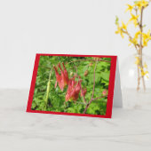 Columbine Flower Blank Note Card Karte (Gelbe Blume)