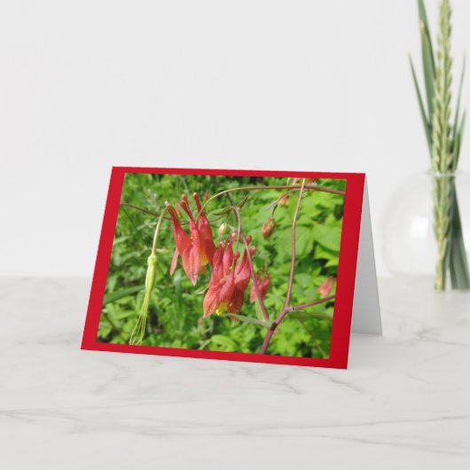 Columbine Flower Blank Note Card Karte (Vorderseite)