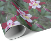 Columbine Geschenkpapier (Rolleneckpunkt)
